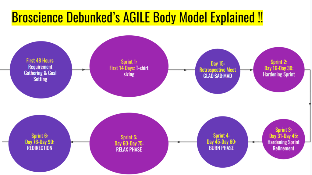 Agile model for fat loss