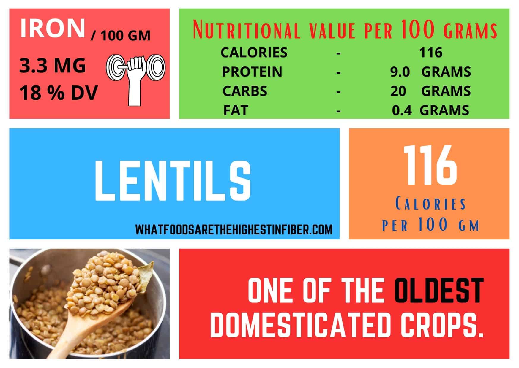 Iron Rich Foods - Bro Science Debunked